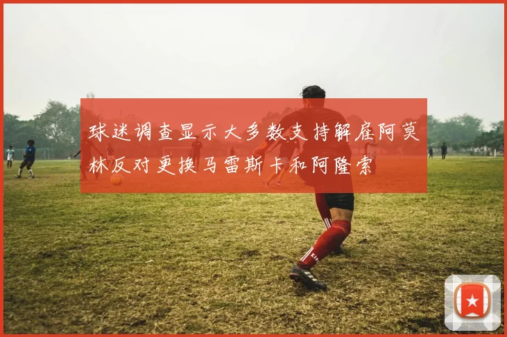 球迷调查显示大多数支持解雇阿莫林反对更换马雷斯卡和阿隆索